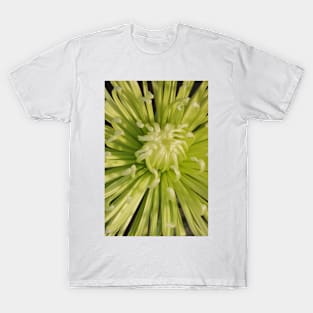 Spider Chrysanthanum Macro T-Shirt